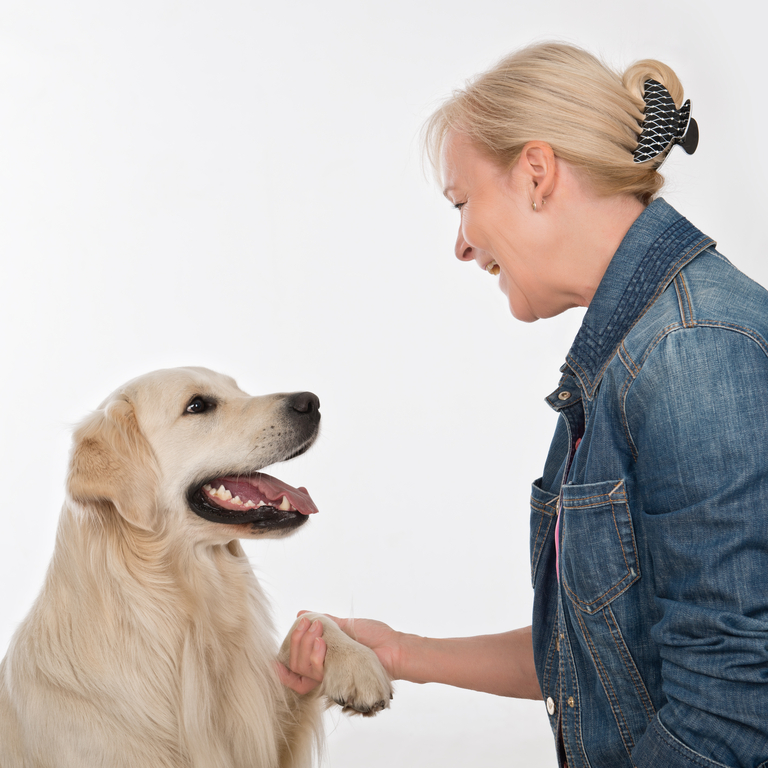 Tierbegleitende Therapie  Therapie Insel