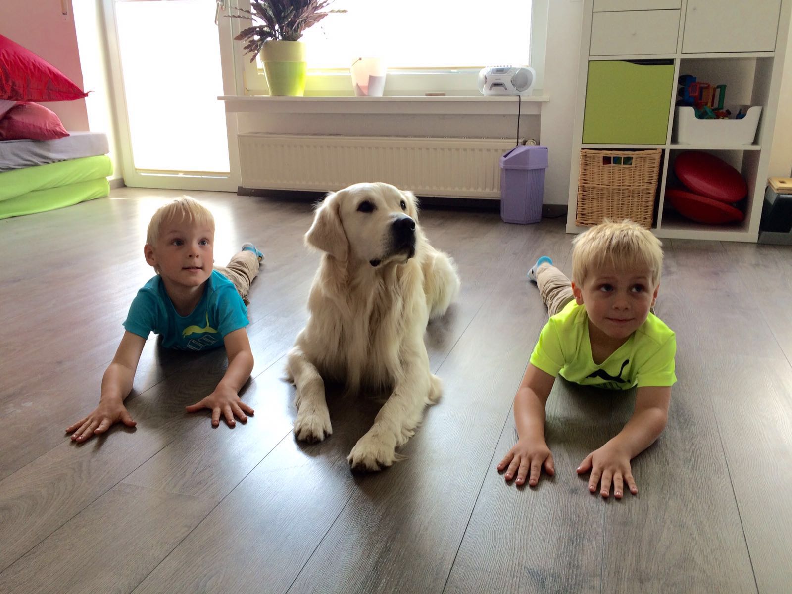 Tierbegleitende Therapie  Therapie Insel